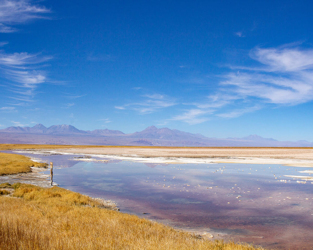 Passeio no Deserto do Atacama: Laguna Cejar