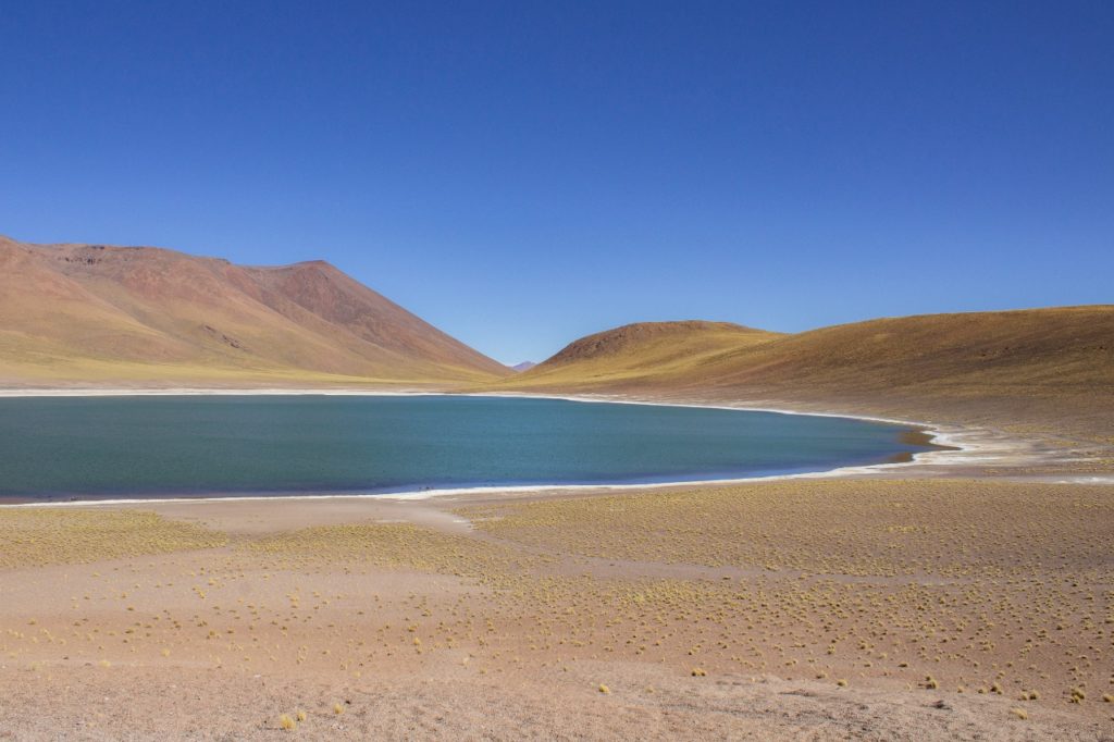 Lagunas Altiplânicas: Laguna Miñiques, um passeio mágico