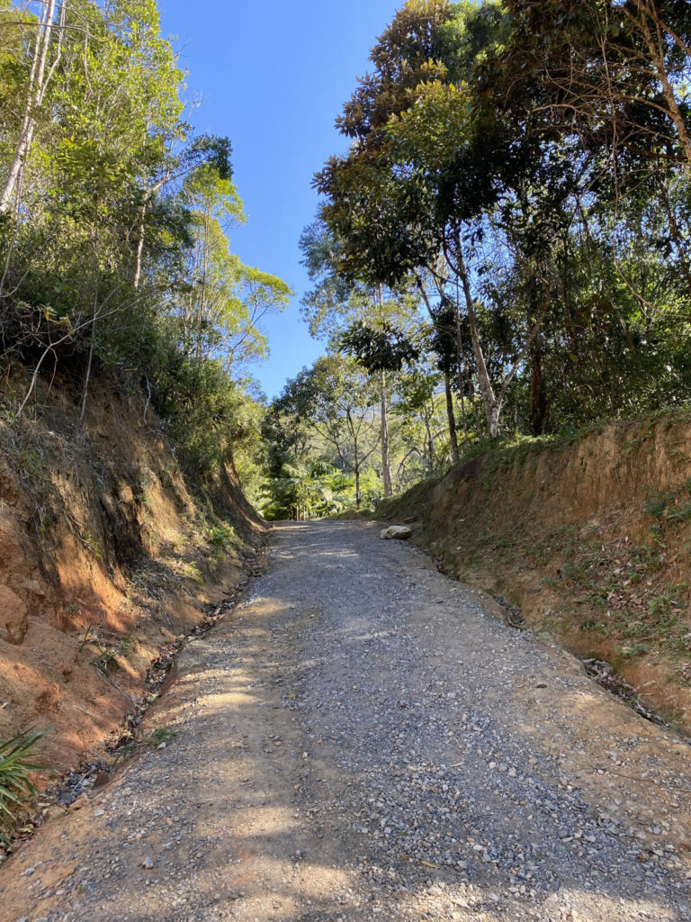 trilha-pico-da-pedra-camboriu (15)