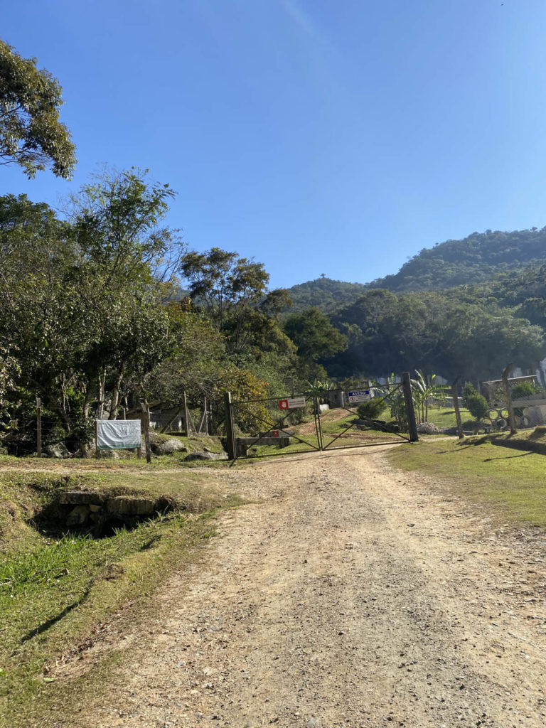 trilha-pico-da-pedra-camboriu (18)