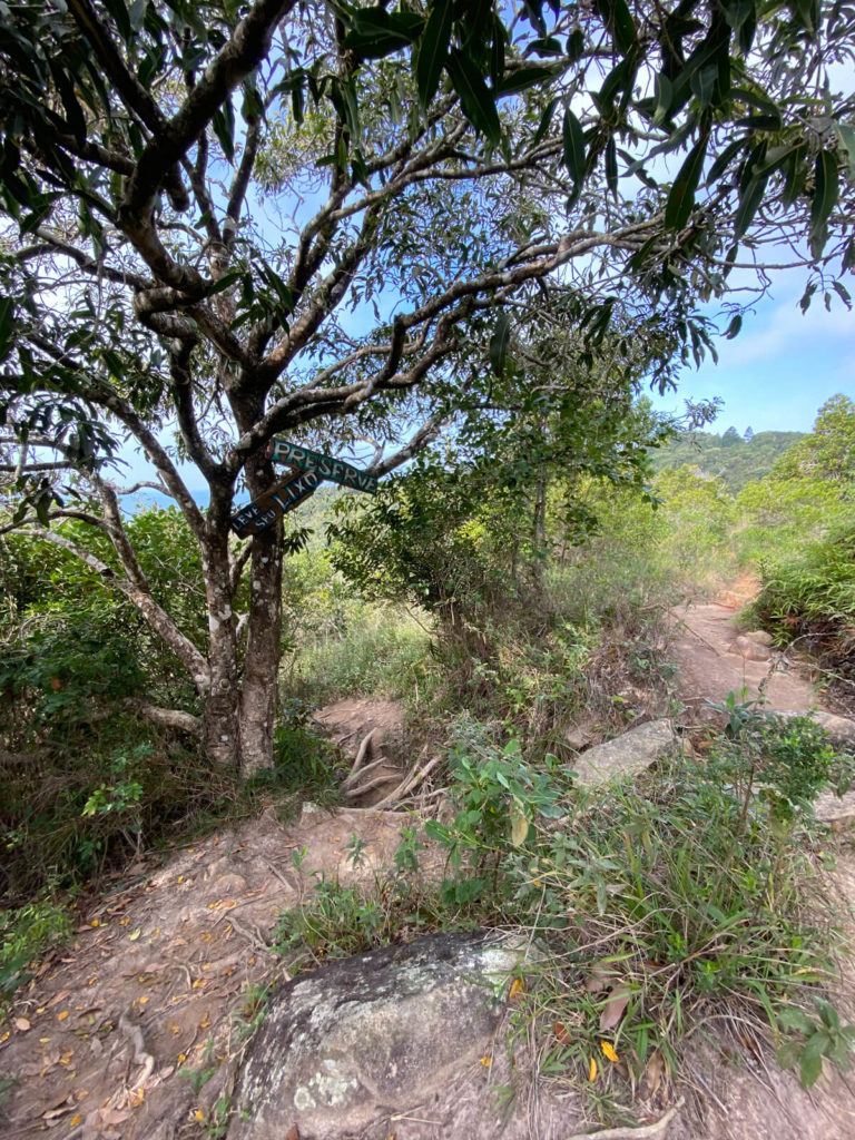 praia-dos-ilheus-governador-celso-ramos (16)