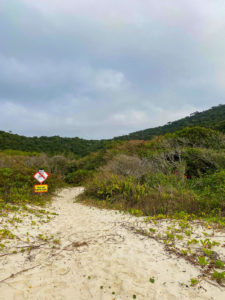 praia-dos-ilheus-governador-celso-ramos (7)