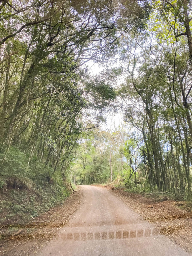 morro-agudo-tangara-santa-catarina (1)