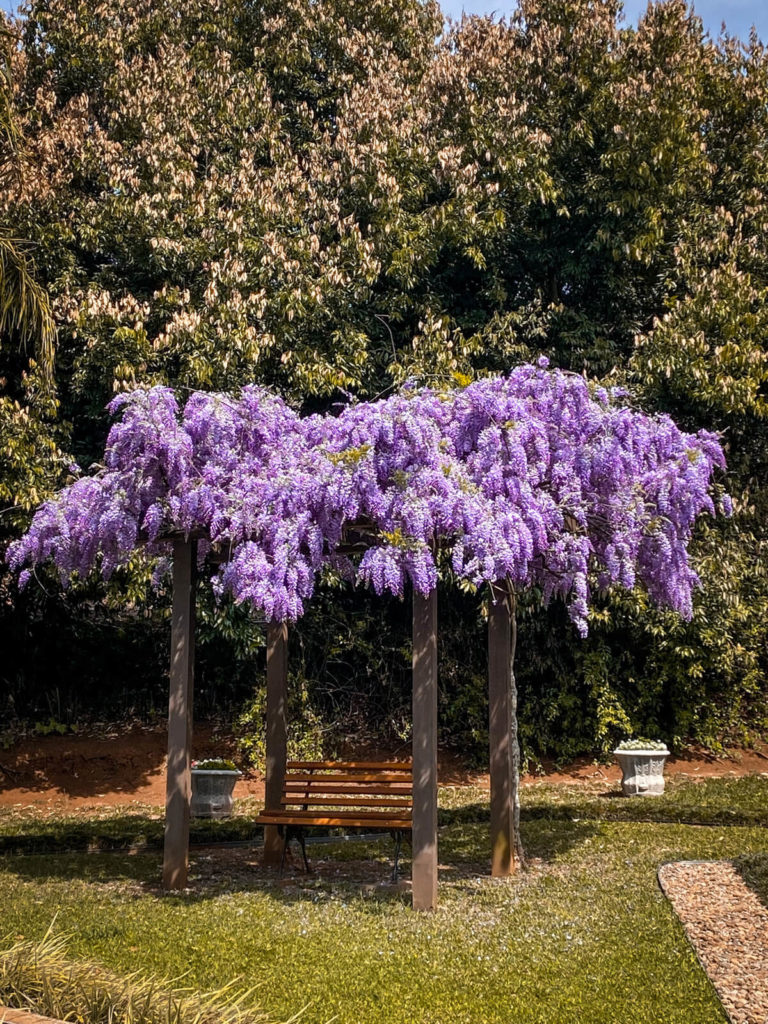 parque-milander-e-vinicola-da-serra-pinheiro-preto (23)