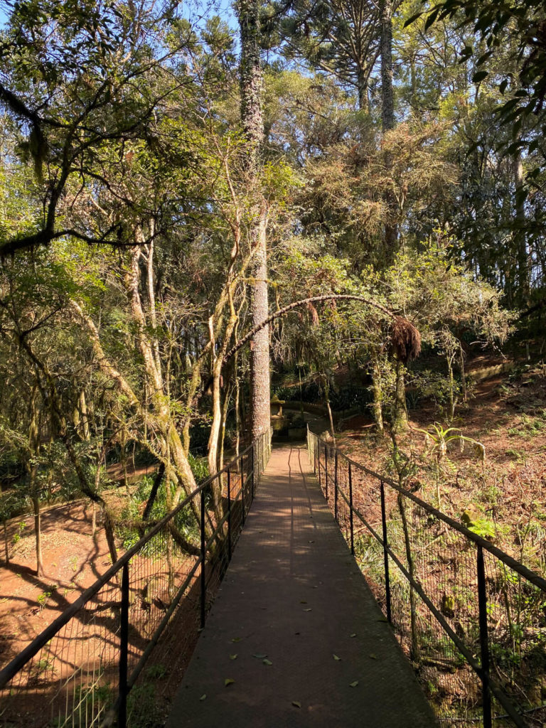 parque-santa-paulina-gruta-dos-quatro-miladres-iomere-santa-catarina (3)