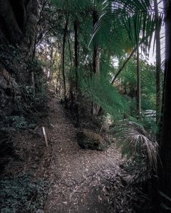 cachoeira-perau-do-gropp-em-atalanta-santa-catarina (21)