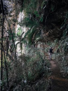 cachoeira-perau-do-gropp-em-atalanta-santa-catarina (8)