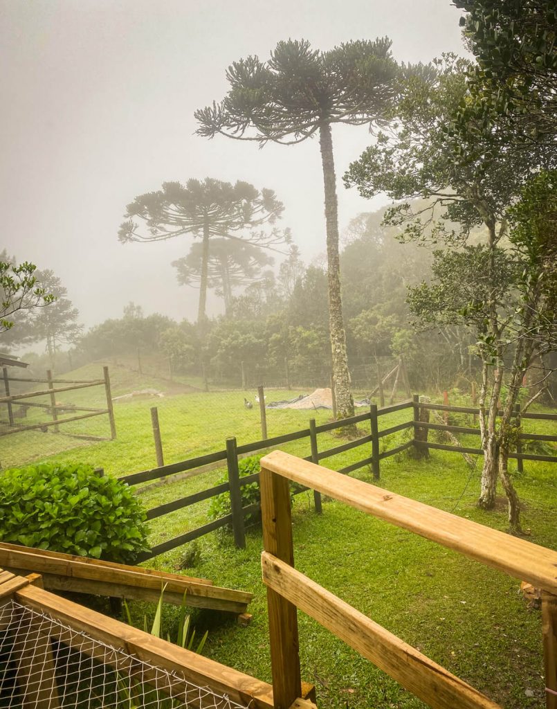 chale-encantado-rancho-queimado-santa-catarina-hospedagem (6)