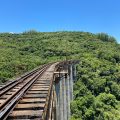 viaduto-pesseguinho-dois-lajeados-rio-grande-do-sul (2)