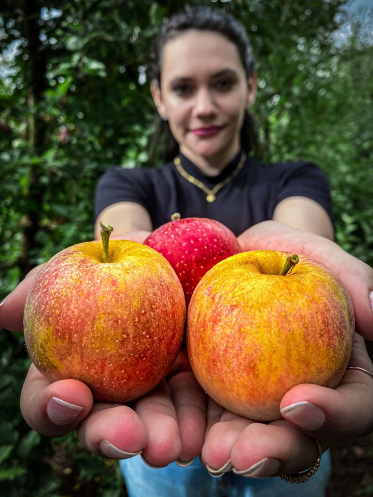 O que fazer em Fraiburgo? Terra da Maçã