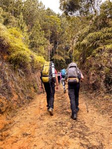 trilha-acampamento-pico-do-tabuleiro (2)