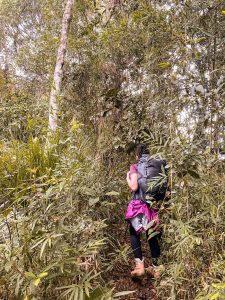 trilha-acampamento-pico-do-tabuleiro (3)