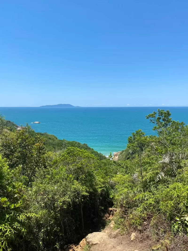 trilha-da-praia-dos-ilheus-para-curtir-o-verao-catarinense (1)