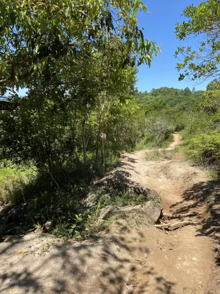 trilha-da-praia-dos-ilheus-para-curtir-o-verao-catarinense (10)