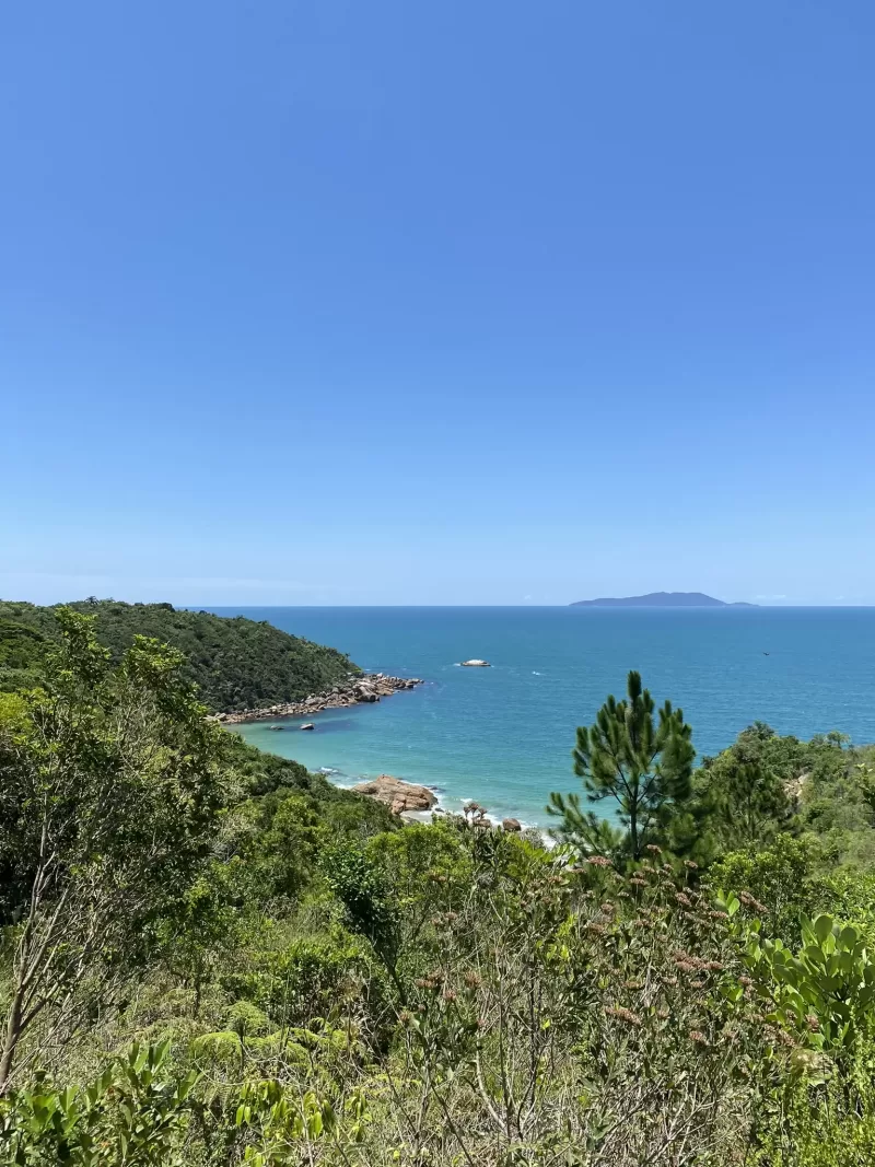 trilha-da-praia-dos-ilheus-para-curtir-o-verao-catarinense (2)