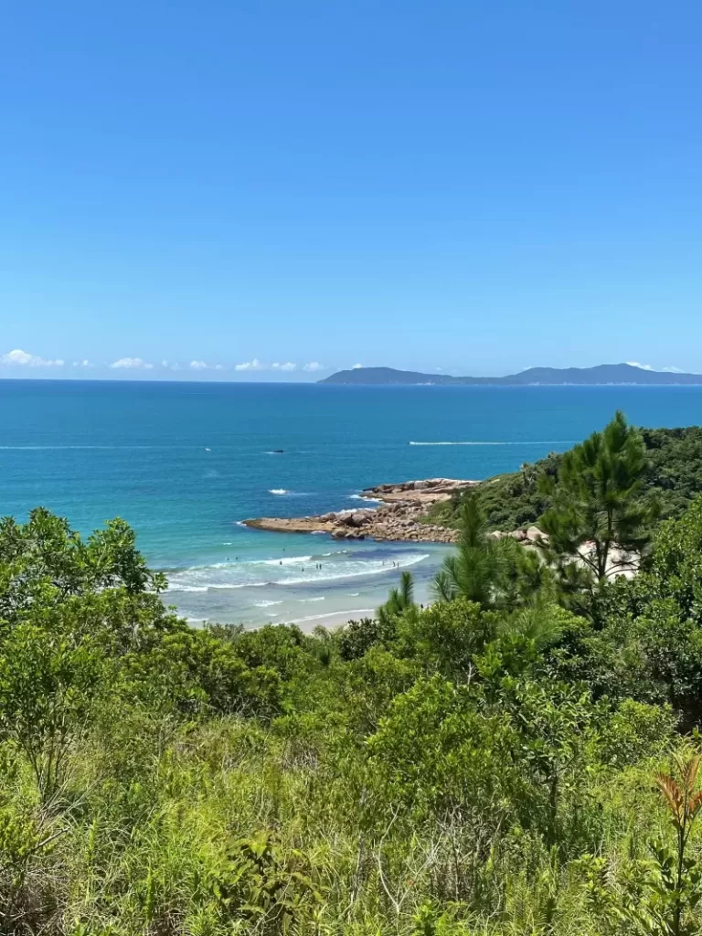 trilha-da-praia-dos-ilheus-para-curtir-o-verao-catarinense (5)