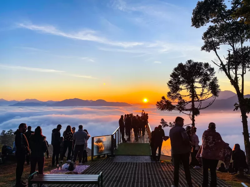 Tudo sobre: Pico da Malwee em Jaraguá