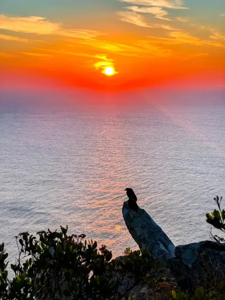 Acampei no morro da coroa em floripa10