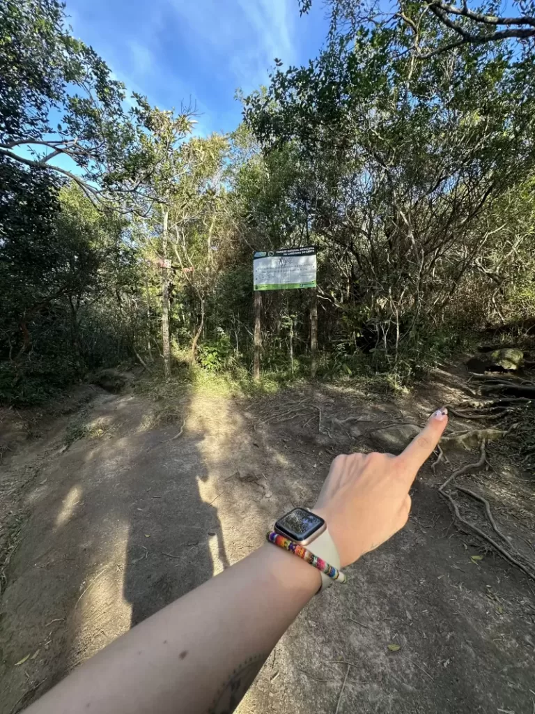 Trilha-da-Lagoinha-do-Leste-até-o-Morro-da-Coroaa12